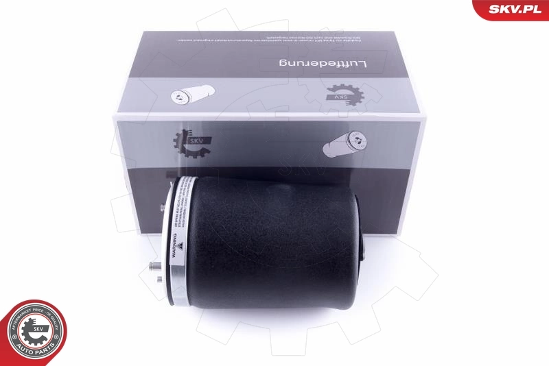 Air Spring, suspension